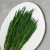 Trawa butelka PLS 1.png