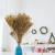 Broom Bloom Dried Gold 3.png