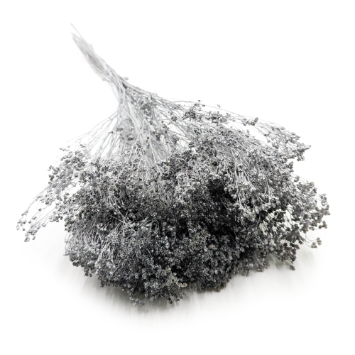 Broom Bloom Dried Silver.png