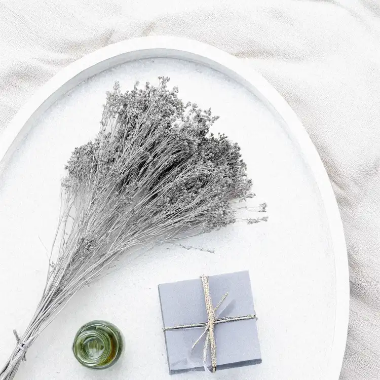 Broom Bloom Dried Silver 2.png