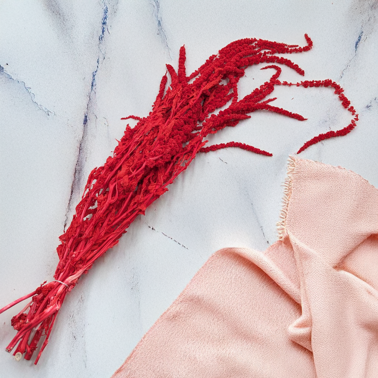 Szarłat czerwony IT 5.png