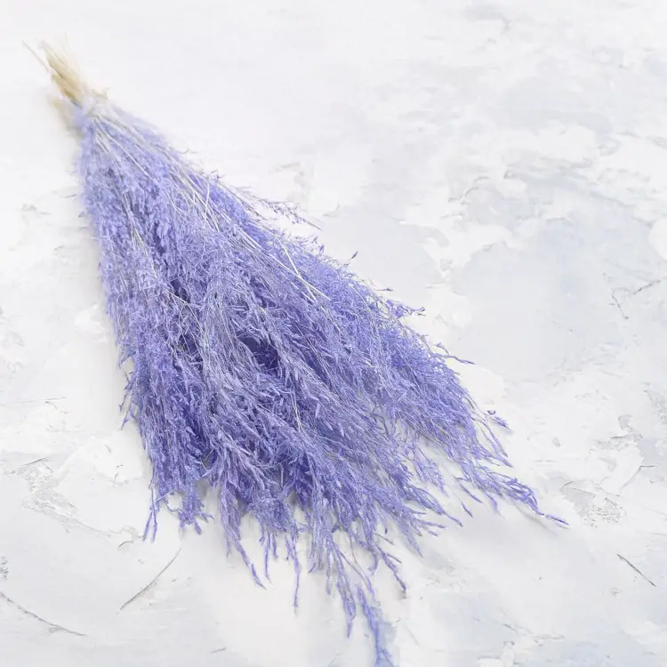 Briza Segromigno Lavenda.png