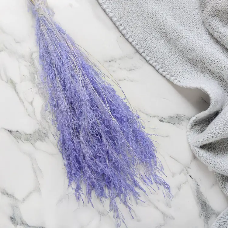 Briza Segromigno Lavenda 1.png