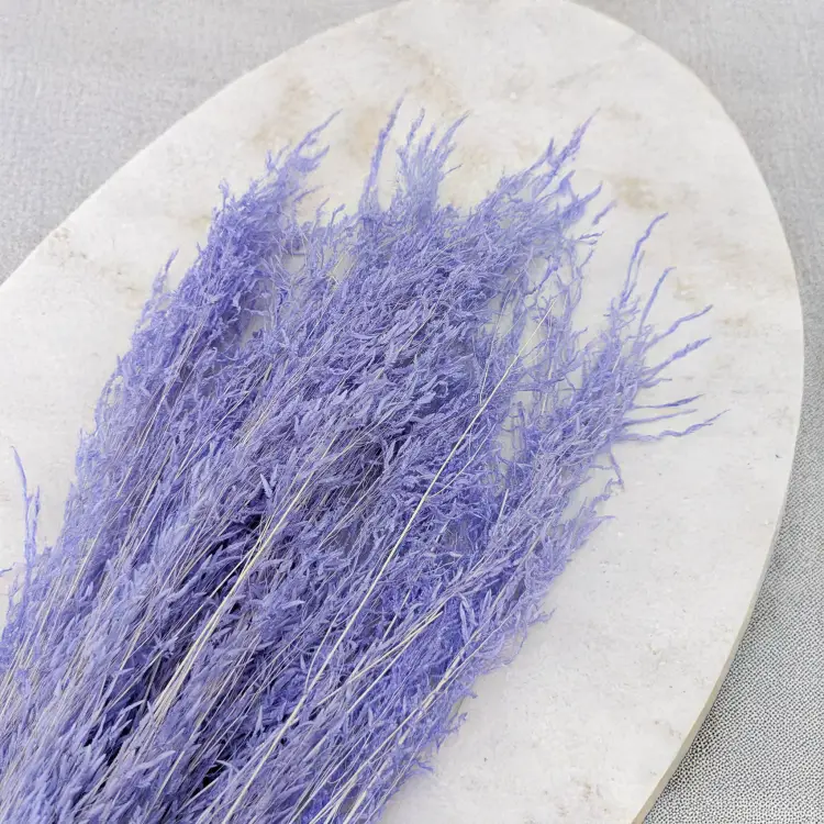 Briza Segromigno Lavenda 2.png