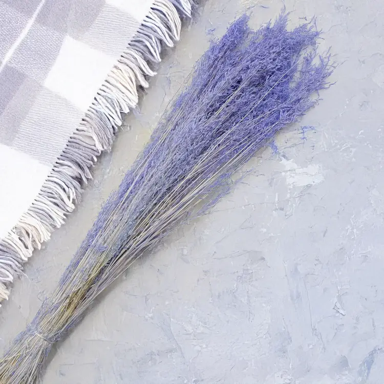 Briza Segromigno Lavenda 3.png