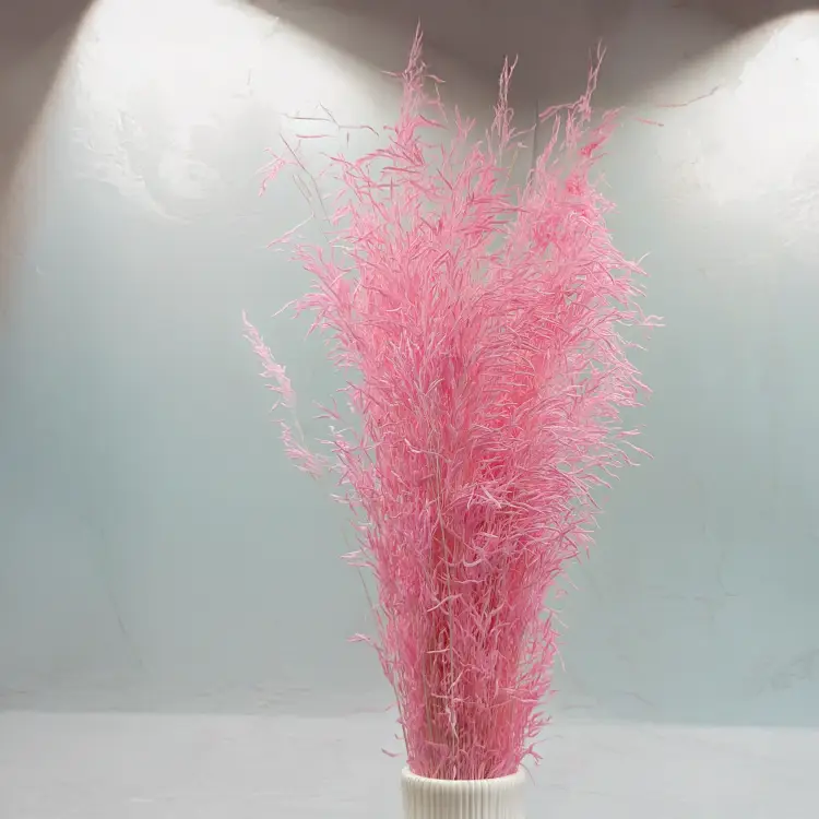 Briza Segromigno Light pink 3.png