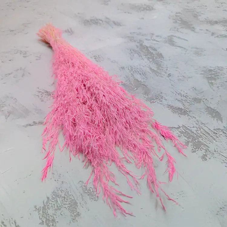 Briza Segromigno Light pink.png