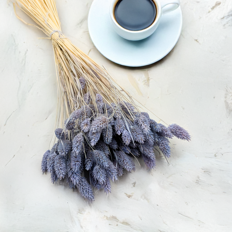 Kanar niebieski jeans 1.png