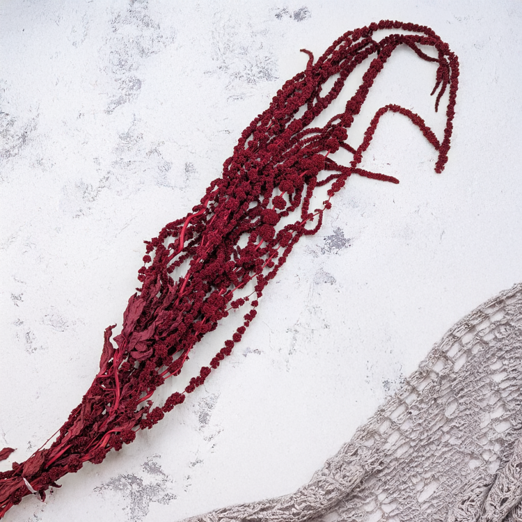 Szarłat bordowy IT 3.png