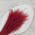 Stipa Bordo 4.png