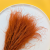 Stipa Ciemna terakota 2.png