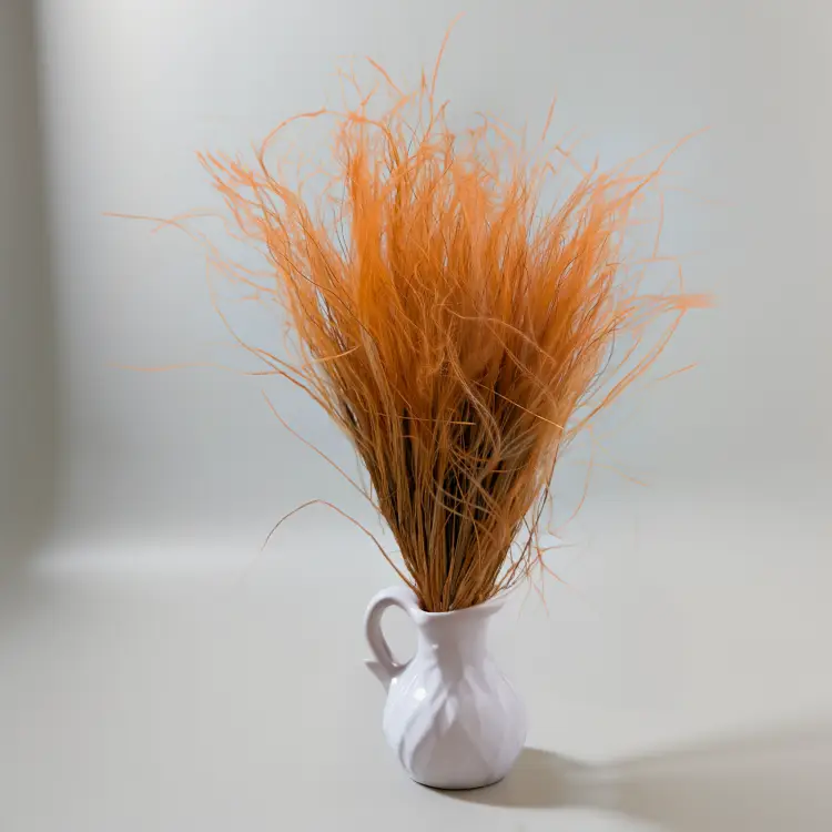 Stipa musztarda 3.png