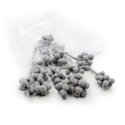 Acorn Bunch 3.png