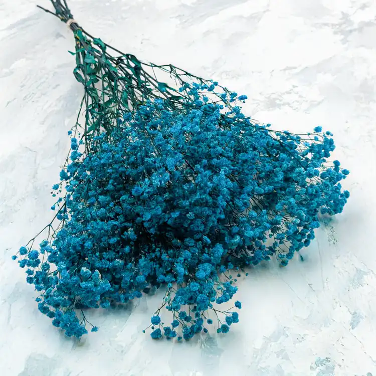 Gips Blue Royal 11 1.png