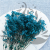 Gips Blue Royal 11 2.png