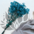 Gips Blue Royal 11 3.png