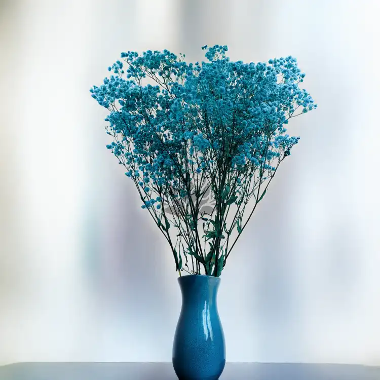 Gips Blue Royal 11 4.png