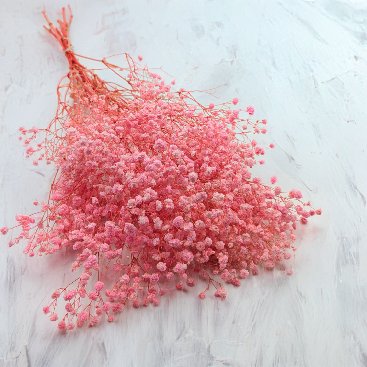 Gips Light Pink Royal 03 2.png