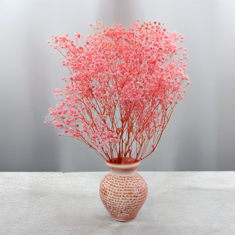 Gips Light Pink Royal 03 5.png