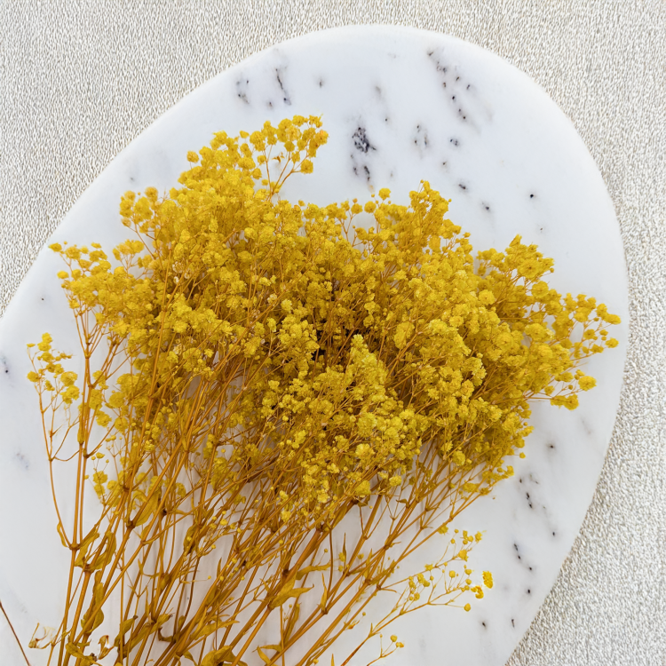 Gips Zolta royal 07 2.png