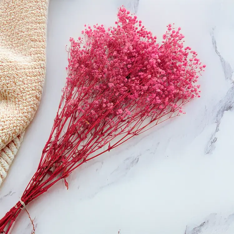 Gips Dark Pink Royal 05 3.png