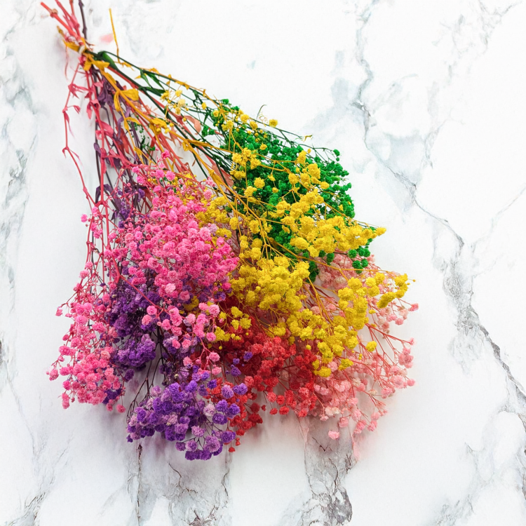 Gips Mix Royal 15 1.png