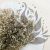 GIPS NATURAL ROYAL 01_2.png