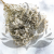 GIPS NATURAL ROYAL 01_4.png