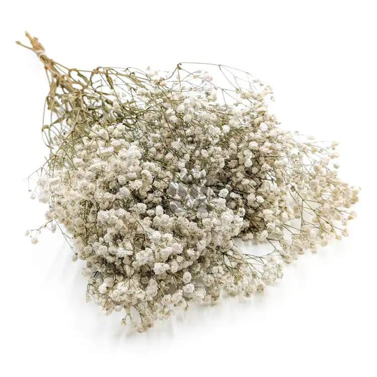 GIPS NATURAL ROYAL 01_6.png