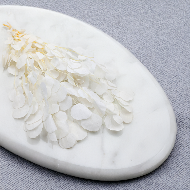 Populus Bleached Royal 1.png