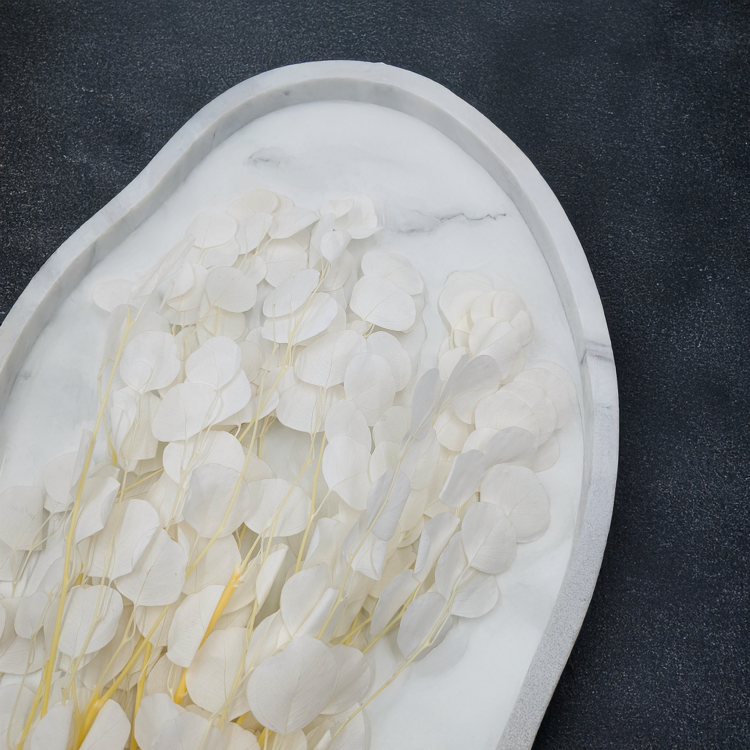 Populus Bleached Royal.png