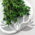 Nigella orient ziel pl 2.png