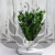 Nigella orient ziel pl 5.png
