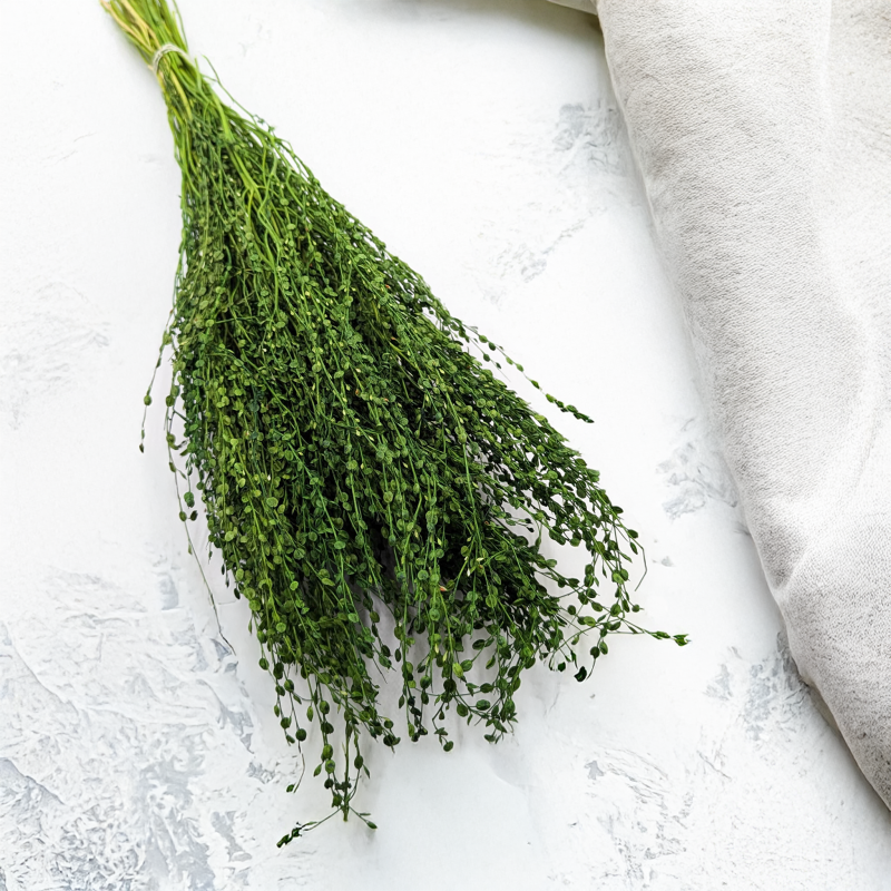 Lepidium butelka 1.png