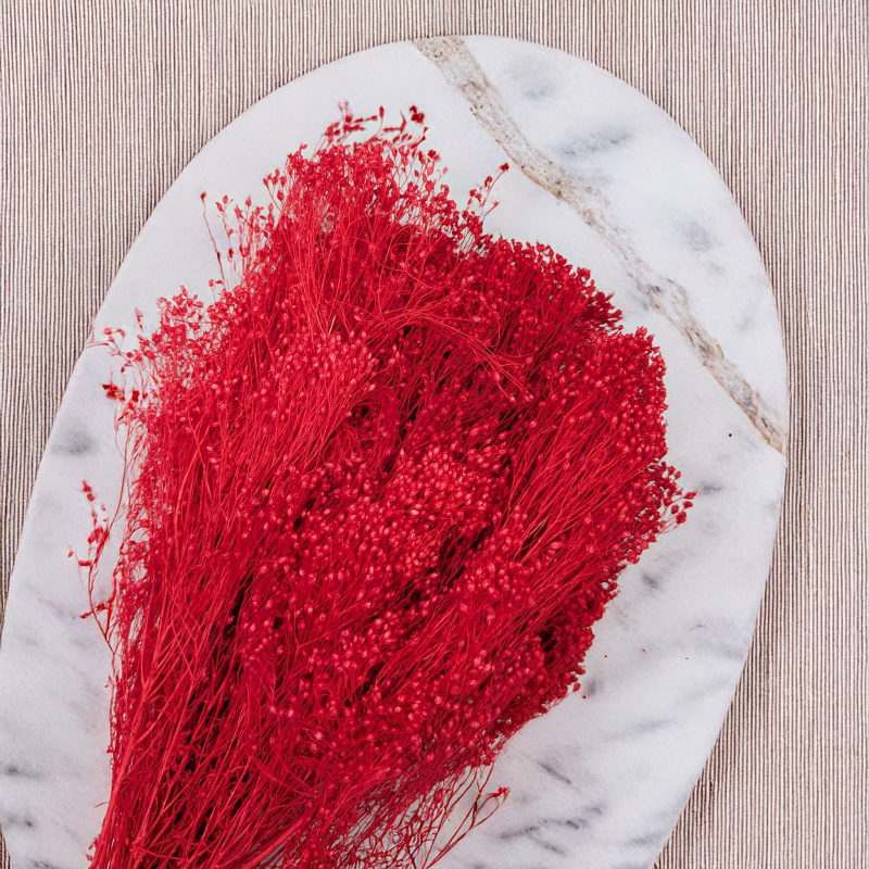 Broom czerwony 2.png