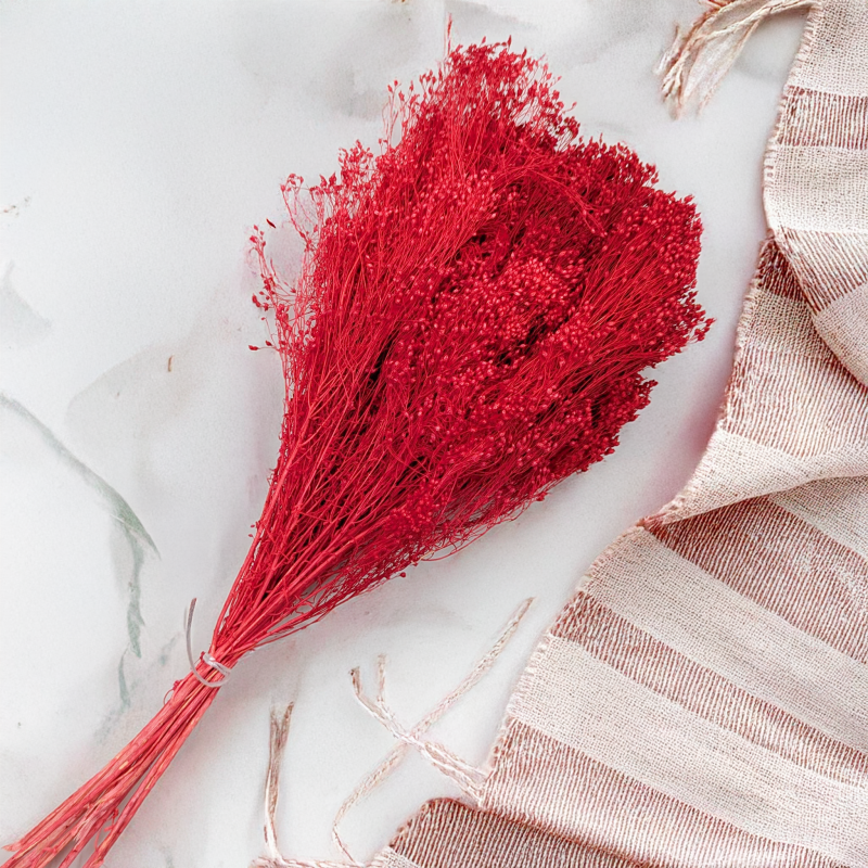 Broom czerwony 3.png