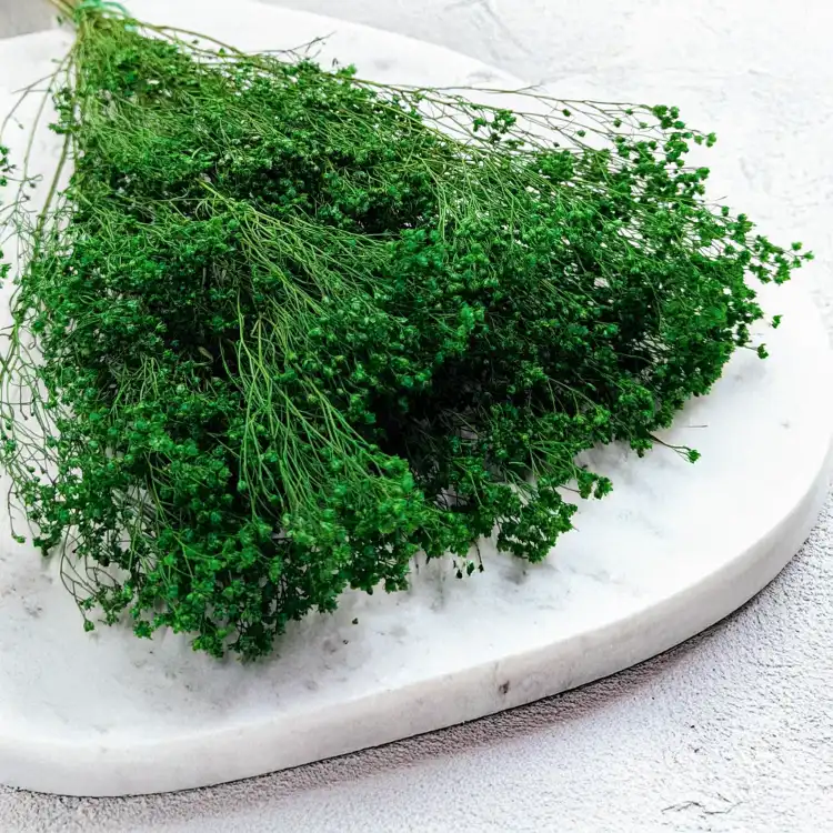 Broom Green 2.png