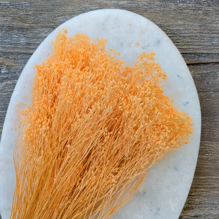 Broom peach 3.png
