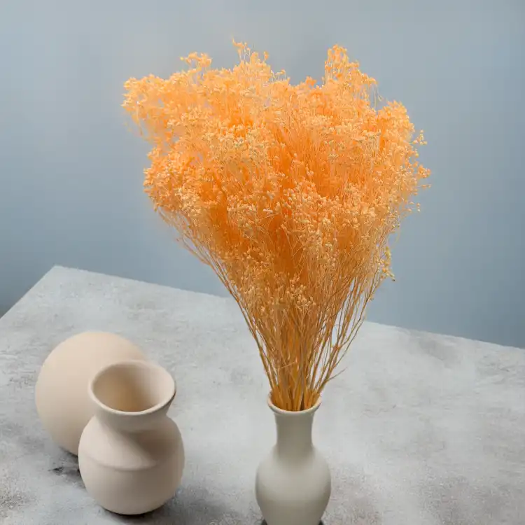 Broom peach 5.png