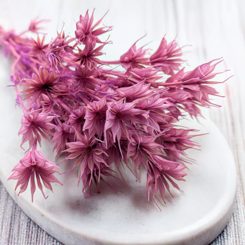 Nigella orient Lila 2.png