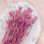 Nigella orient Lila 3.png