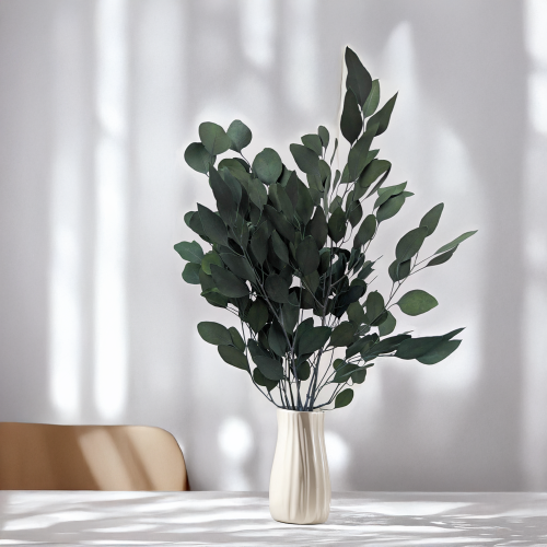 Eukaliptus Populus IT 3.png