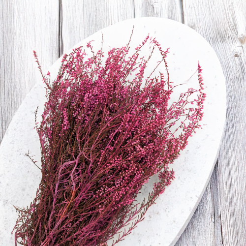 Wrzos różowy RC 2.png