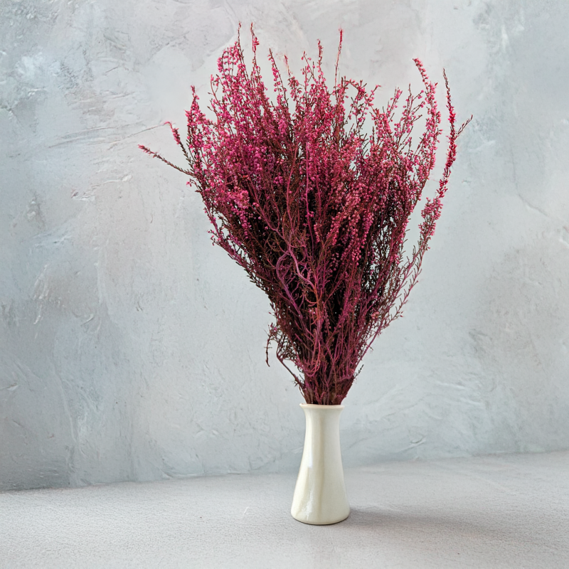 Wrzos różowy RC 4.png