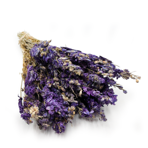 Pied-d’alouette Séché – (Delphinium) – Bleu