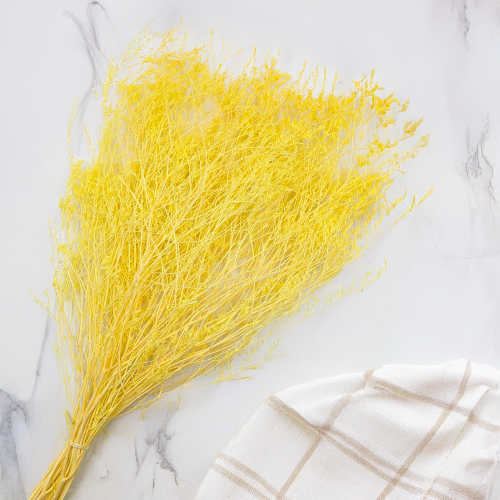 Statice Marine Yellow It 3.png