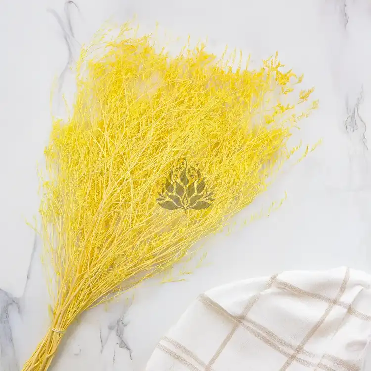 Statice Marine Yellow It 3.png