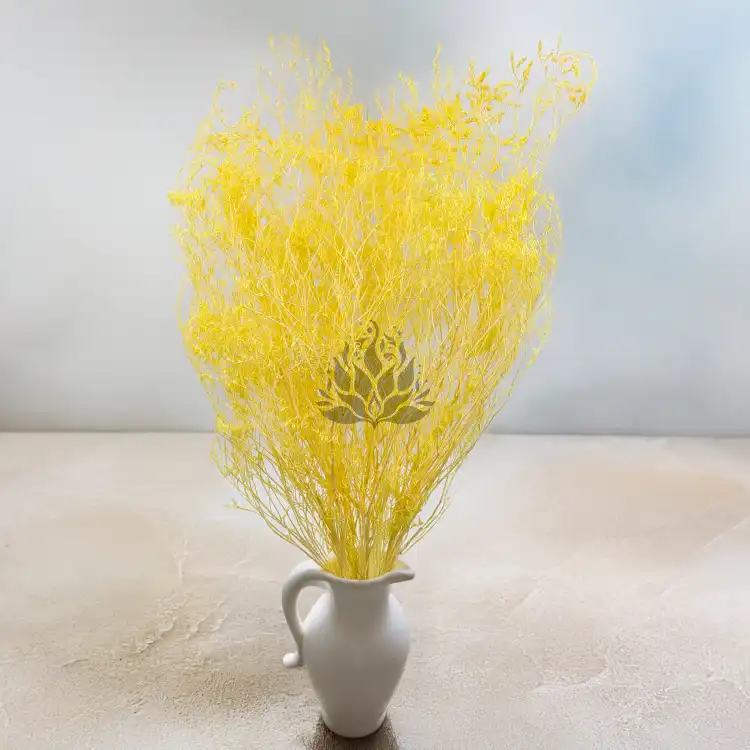 Statice Marine Yellow It 4.png