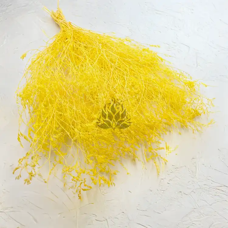 Statice Marine Yellow It 1.png
