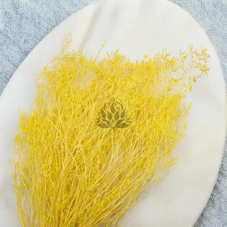 Statice Marine Yellow It 2.png